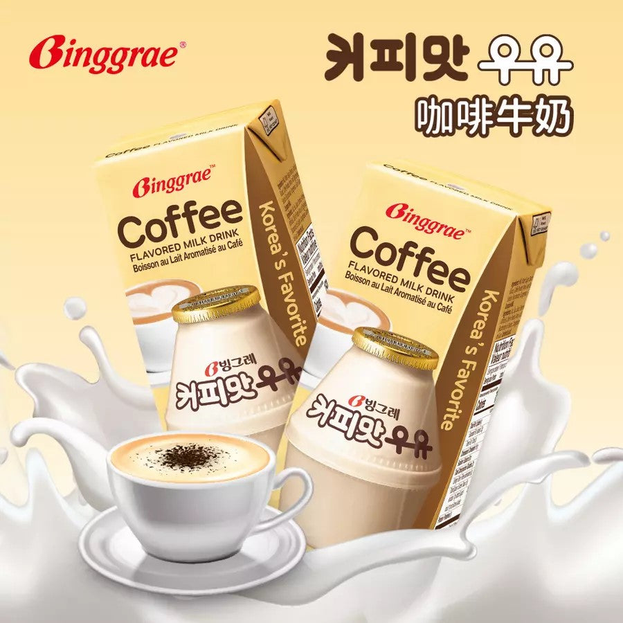 1725 Binggrae Coffee Flavored Milk 빙그레 커피맛우유 200ml
