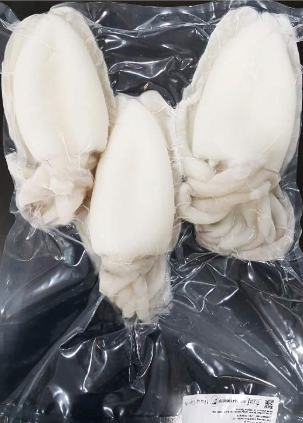 9562 Cleaned Cuttle Fish around 1kg 손질 갑오징어 1kg내외(2~4마리)